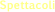 Spettacoli